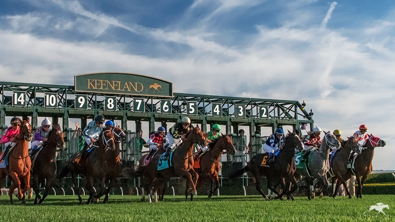 Keeneland Zoom Backgrounds Keeneland